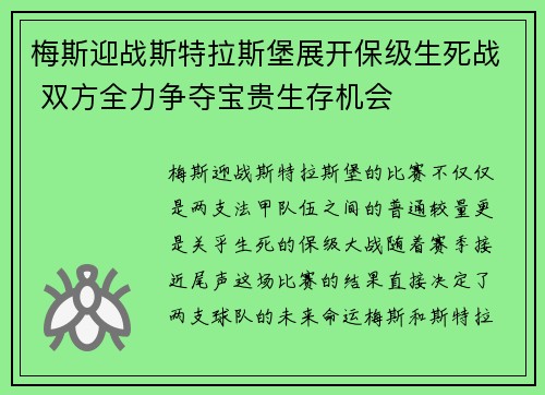 梅斯迎战斯特拉斯堡展开保级生死战 双方全力争夺宝贵生存机会